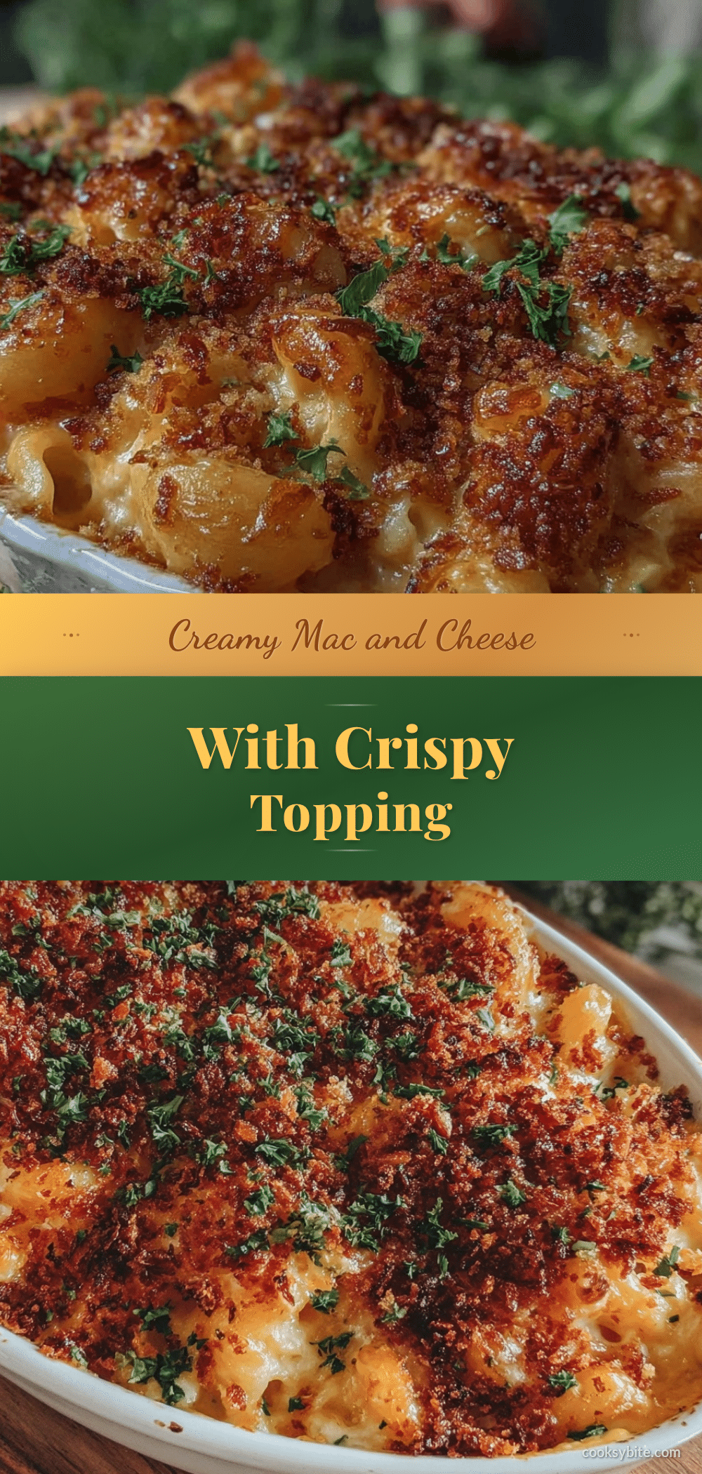 creamy mac and cheese with crispy breadcrumb topping recipe