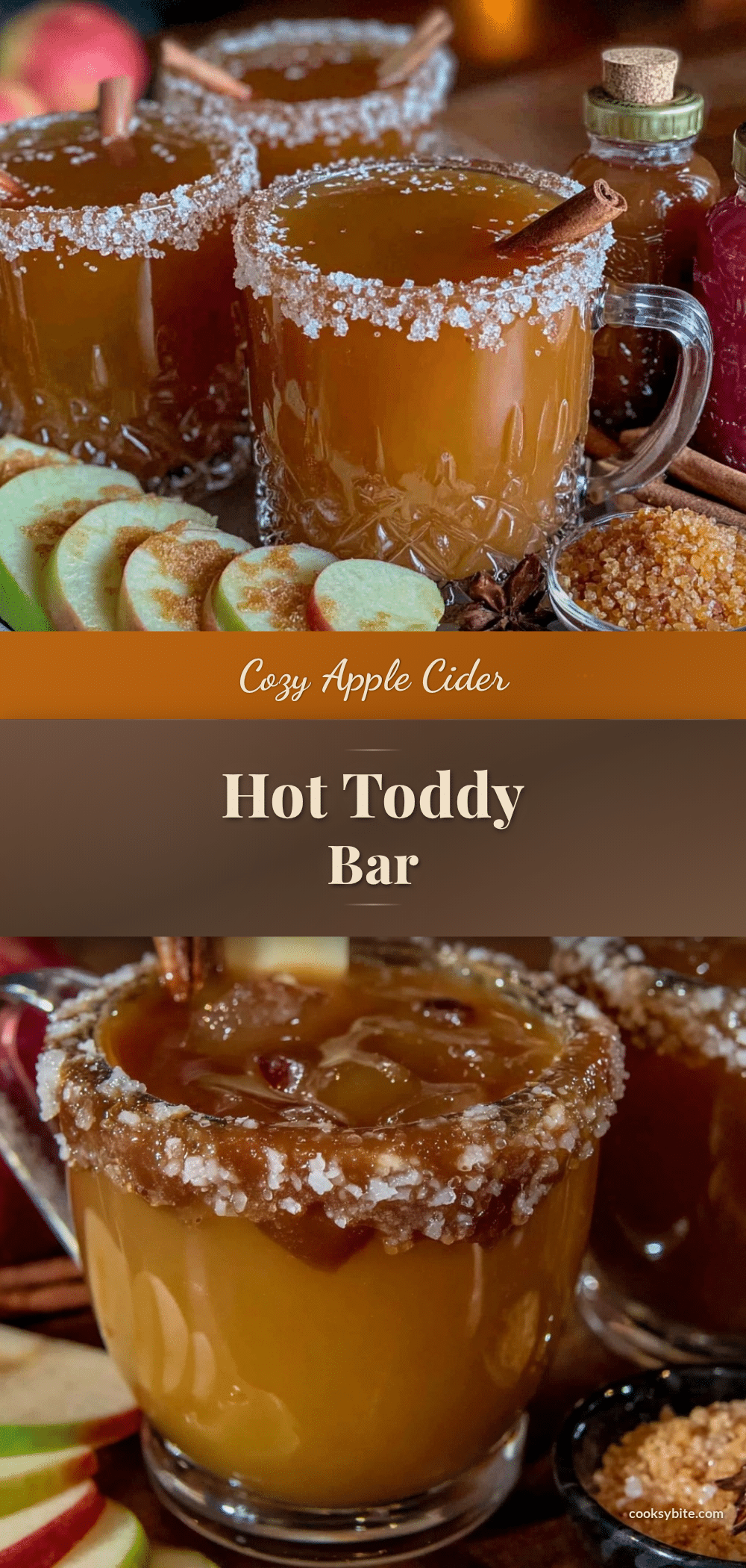 apple cider hot toddy bar recipe