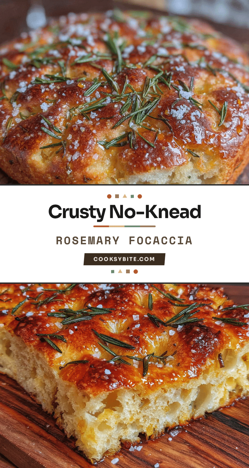 no-knead sourdough focaccia recipe